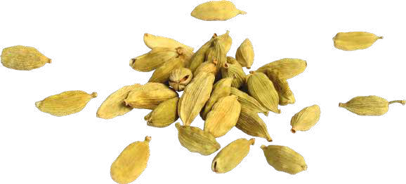 cardamomo