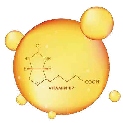 vitamina B7